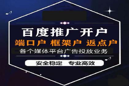 百度推广广告案例：快速抢占市场份额